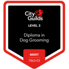 City & Guilds Diploma in Dog Grooming